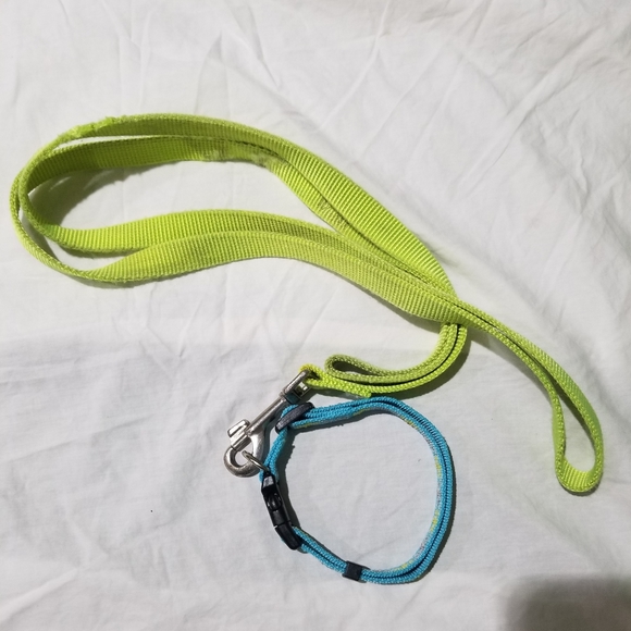 Argyle Pet Collar - Picture 3 of 4